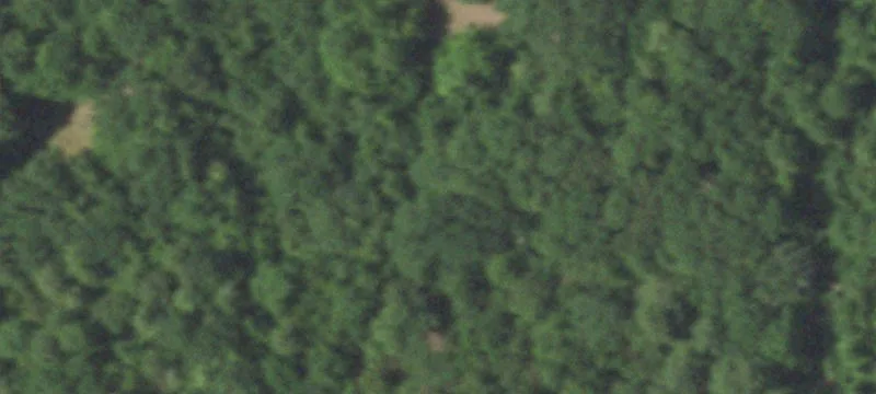 Agricultural Land