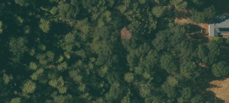 Unimproved Land