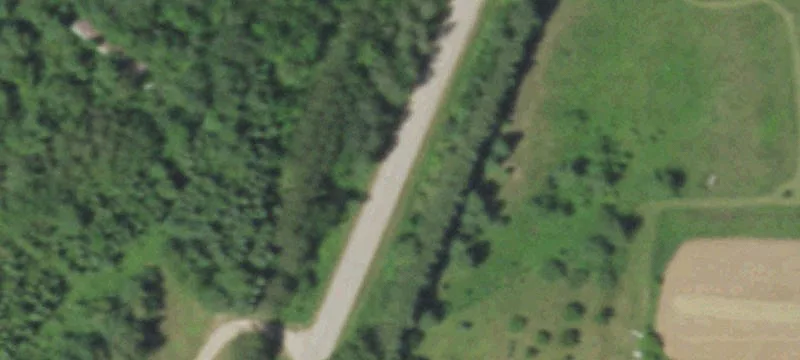 Wooded Land with Sugar Shack