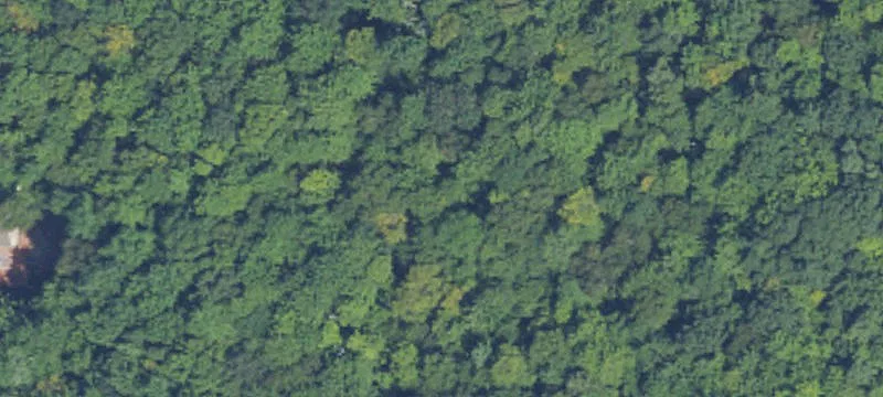 Wooded Waterfront Land