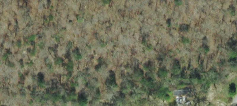 Land