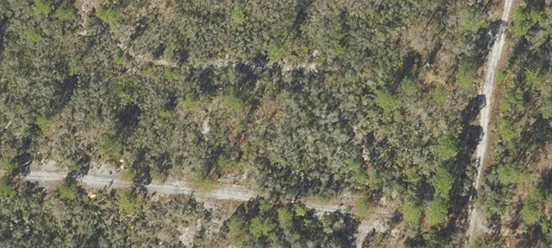 Land or Vacant Lot