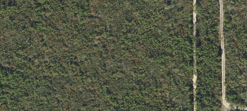 Rural Residential Land