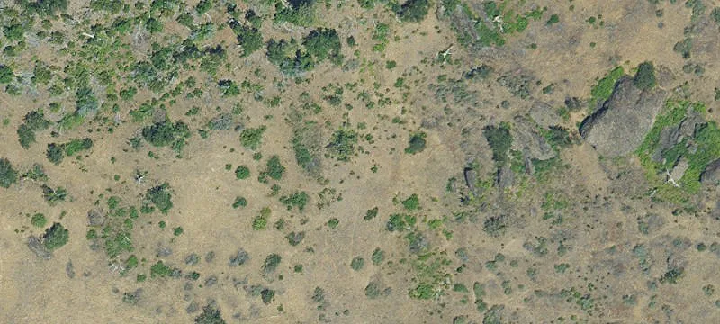 Land