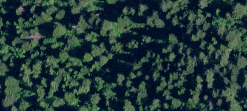 Land/Property