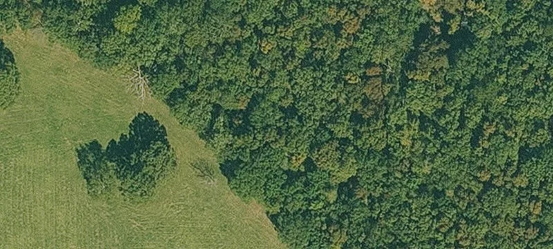 Fenced Farm With Five Ponds