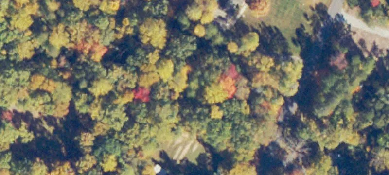 Unimproved Land