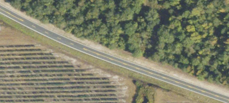 Certified Organic Blueberry Farm