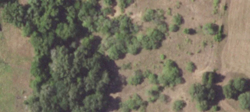 Agricultural Land with Exemption