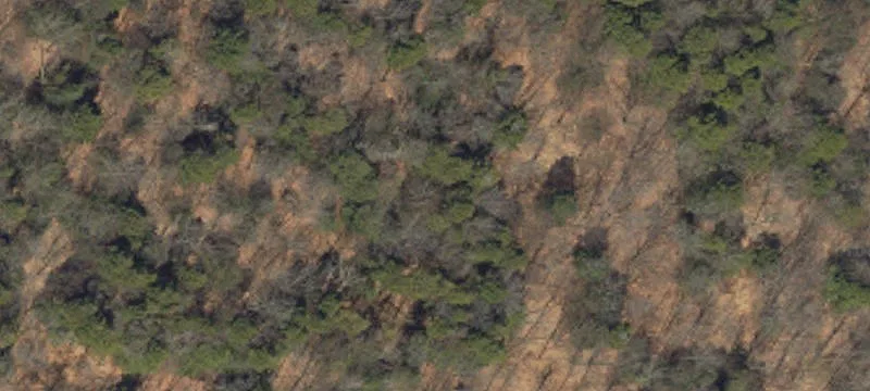 Land