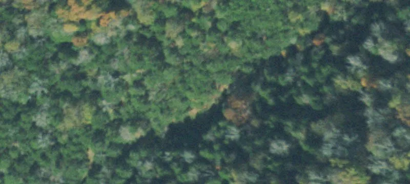 Unrestricted Land Tract