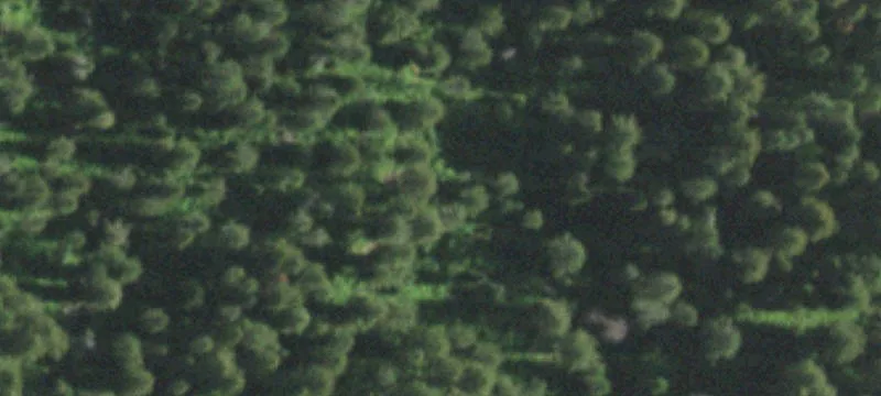 Land/Property