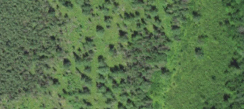 3.08-Acre Land Parcel