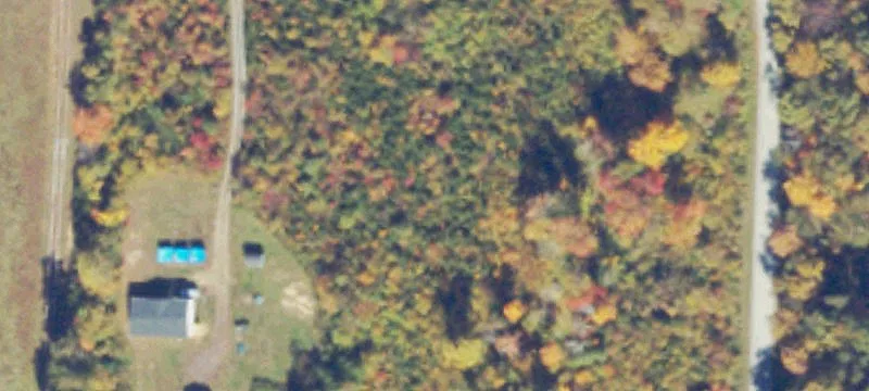 Wooded Hunting Land