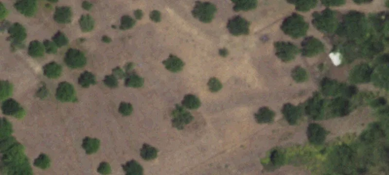 Unimproved Land