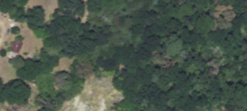 Farm with Creek Frontage