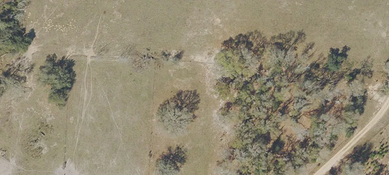Land or Vacant Lot