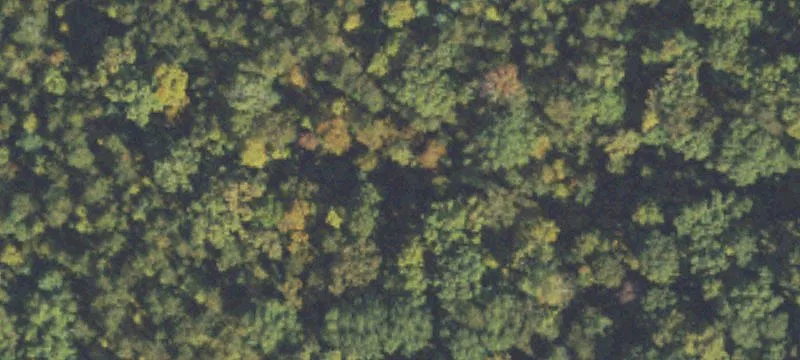 Land or Vacant Lot