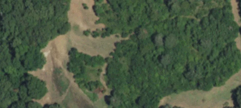Wooded Farm With Barndominium