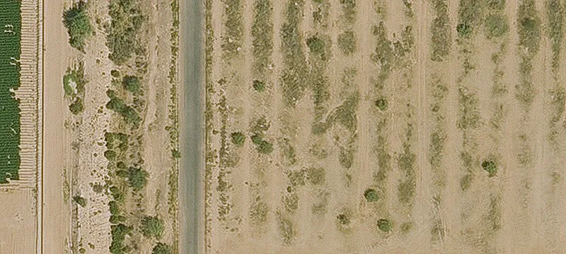 Land