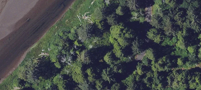 Land or Vacant Lot