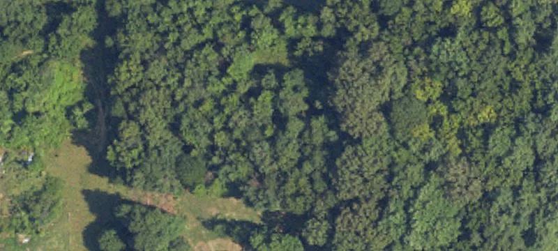 Agricultural Land
