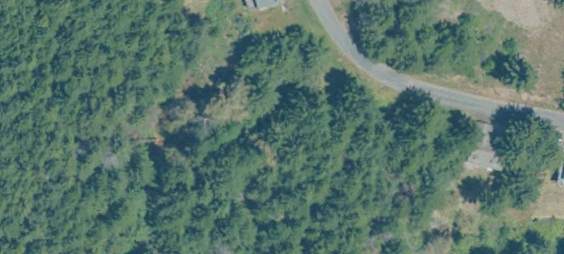 Land or Vacant Lot