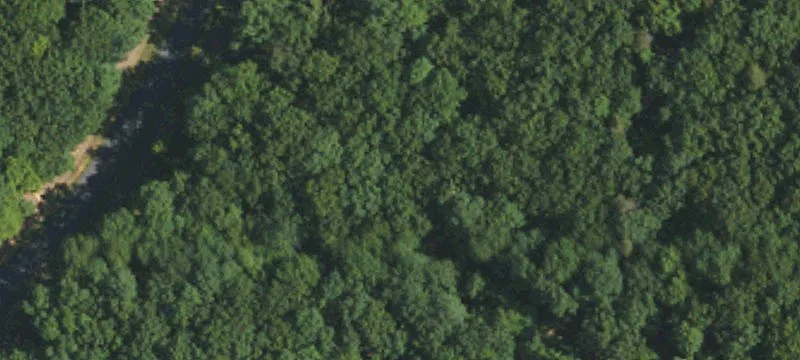 Land or Vacant Lot