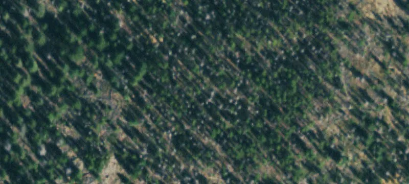 Unimproved Land