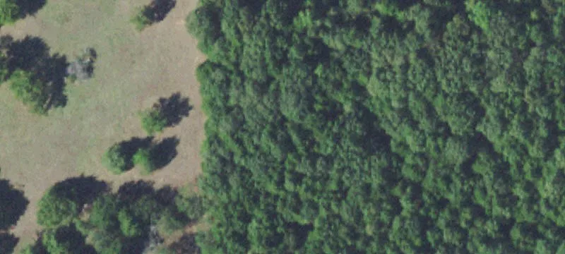 Agricultural Land with Barbed-Wire Fencing