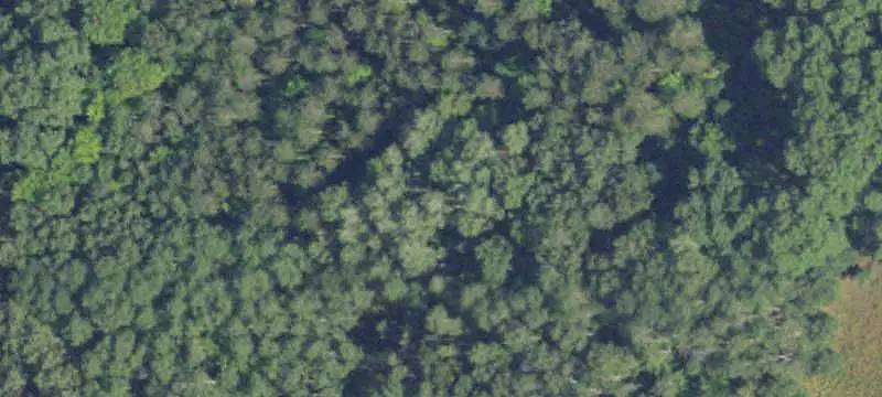 Waterfront Land with Trails