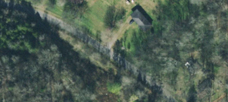 Cattle Farm With Farm Improvements