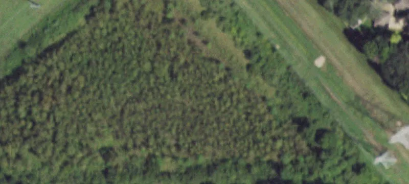Land