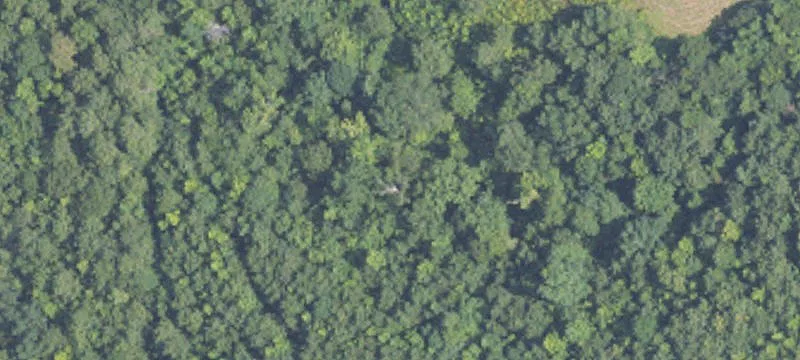Lots/Land