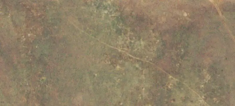 Hunting Land with Natural Cover