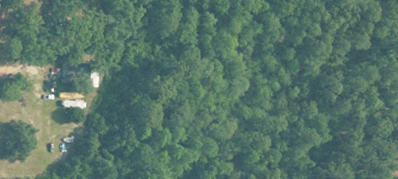 Unzoned Land With Mature Trees