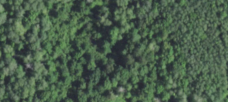 Wooded Corner Land Parcel