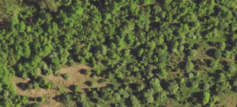 LAND