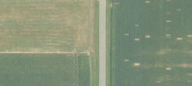 Agricultural Farmland