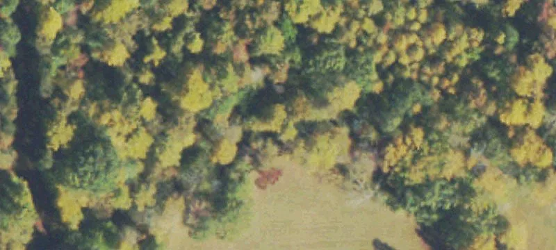 Land with Creek