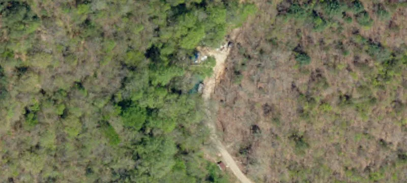 Wooded Hunting Land with Pasture