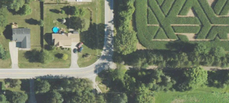 Blueberry Farm Property