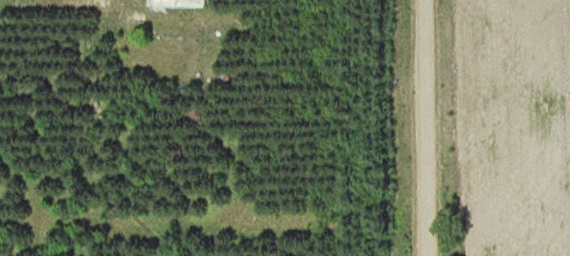 Land
