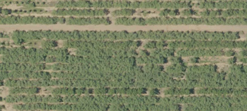 Almond Orchard Farm