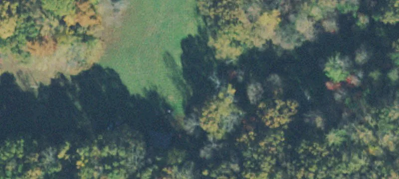 Wooded Mountain Land