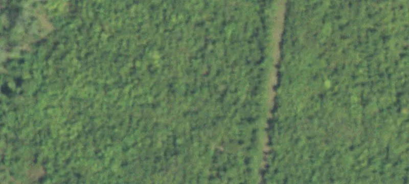 Land