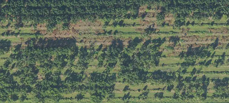 Agricultural Farmland