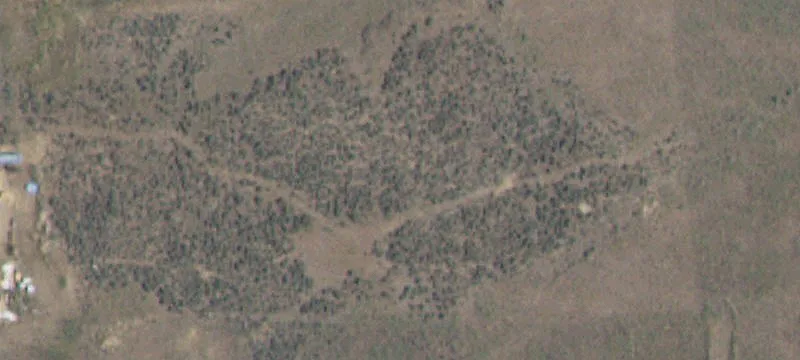 Land/Property