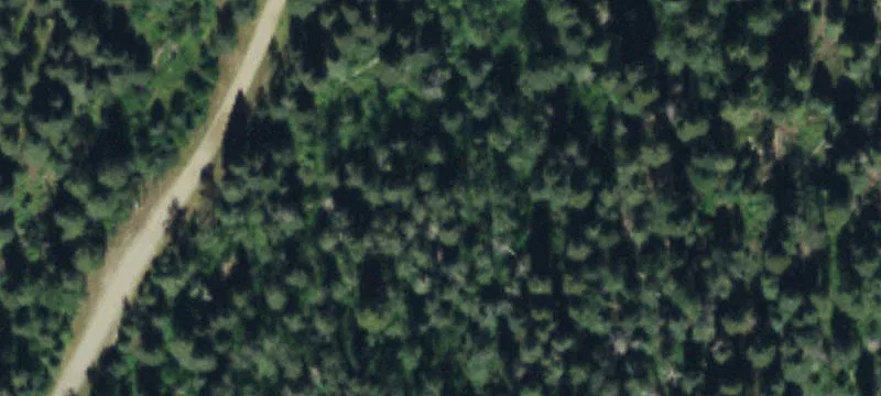 Level Wooded Land Parcel