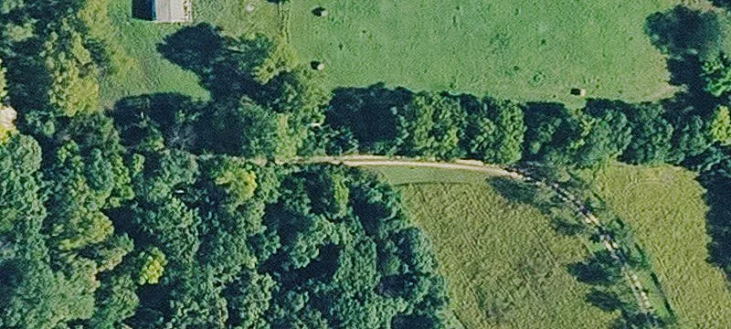 Wooded Hunting Land